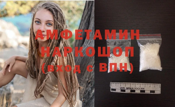 стафф Гусев